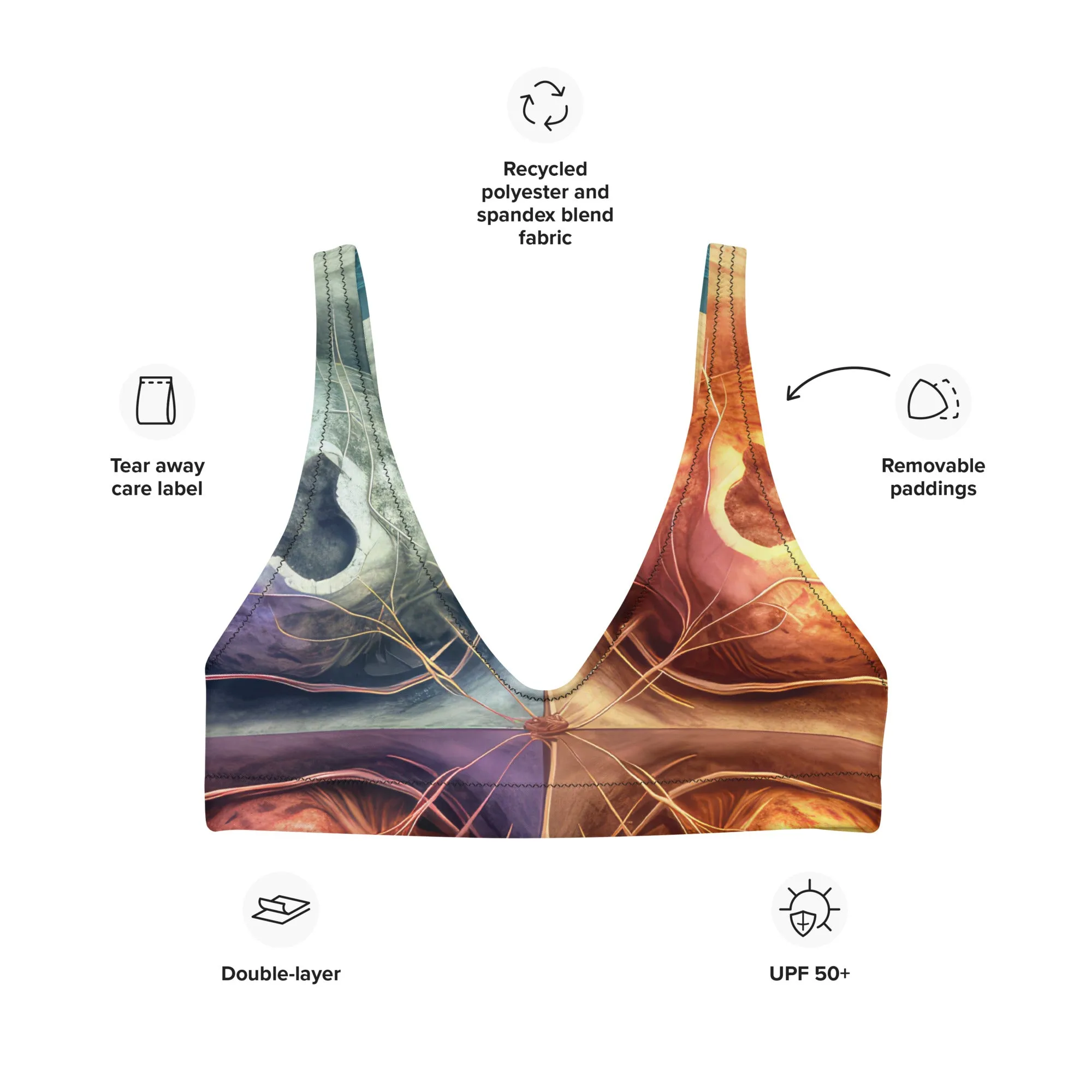 Bikini Top 4 Cells Stage