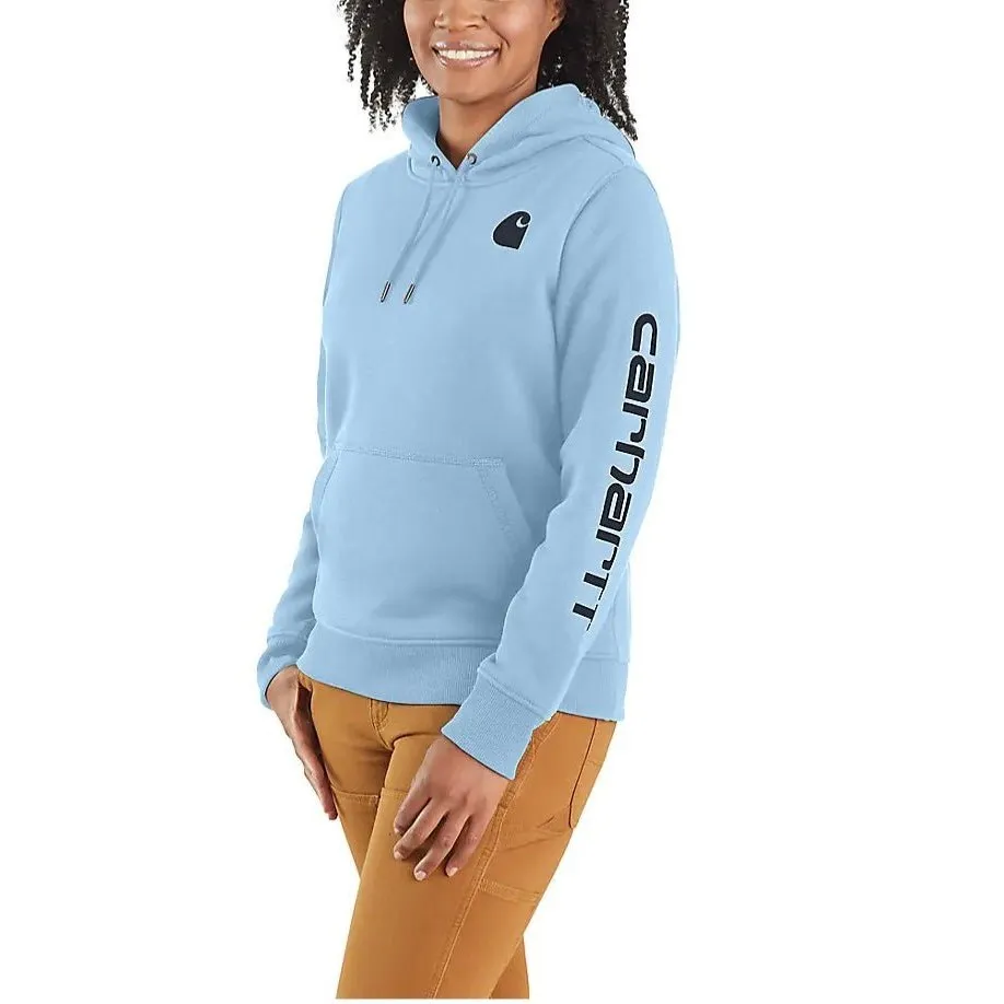 Carhartt Women's Hoodie Relaxed Fit Graphic Pullover Seasonal Colours