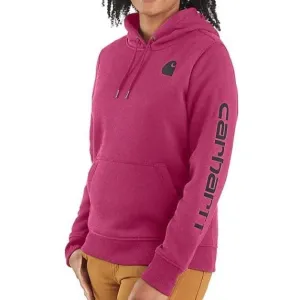 Carhartt Women's Hoodie Relaxed Fit Graphic Pullover Seasonal Colours