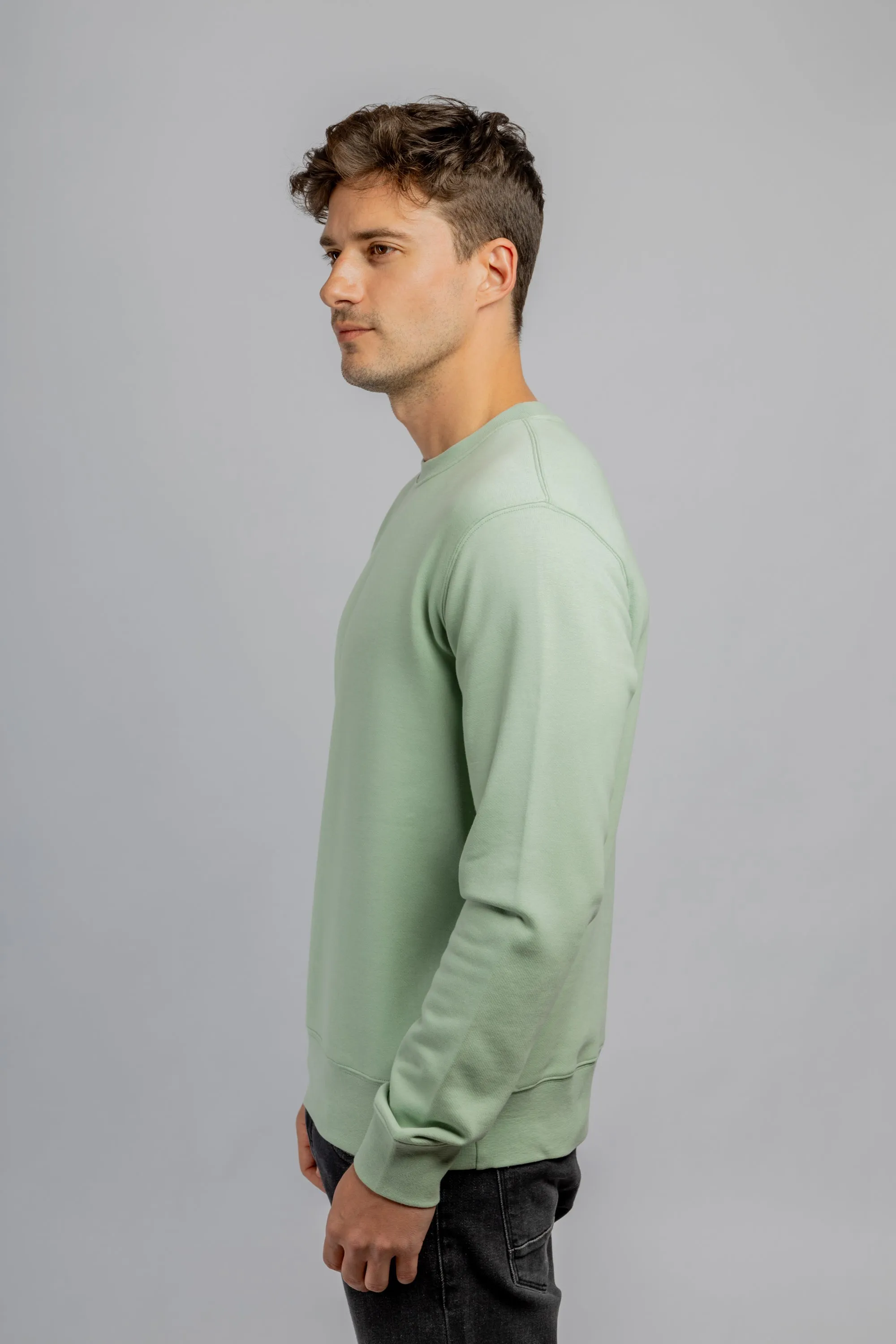 Mint crew neck cotton sweatshirt